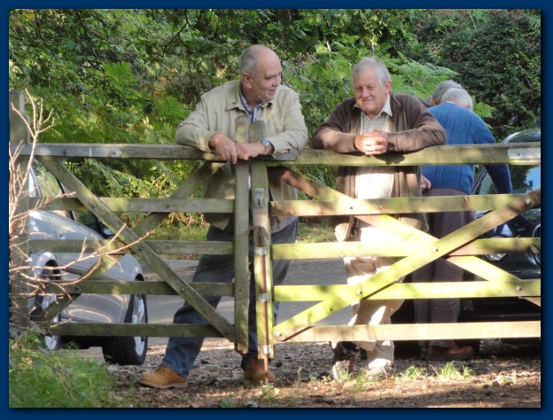 600x449 pixels (155K)